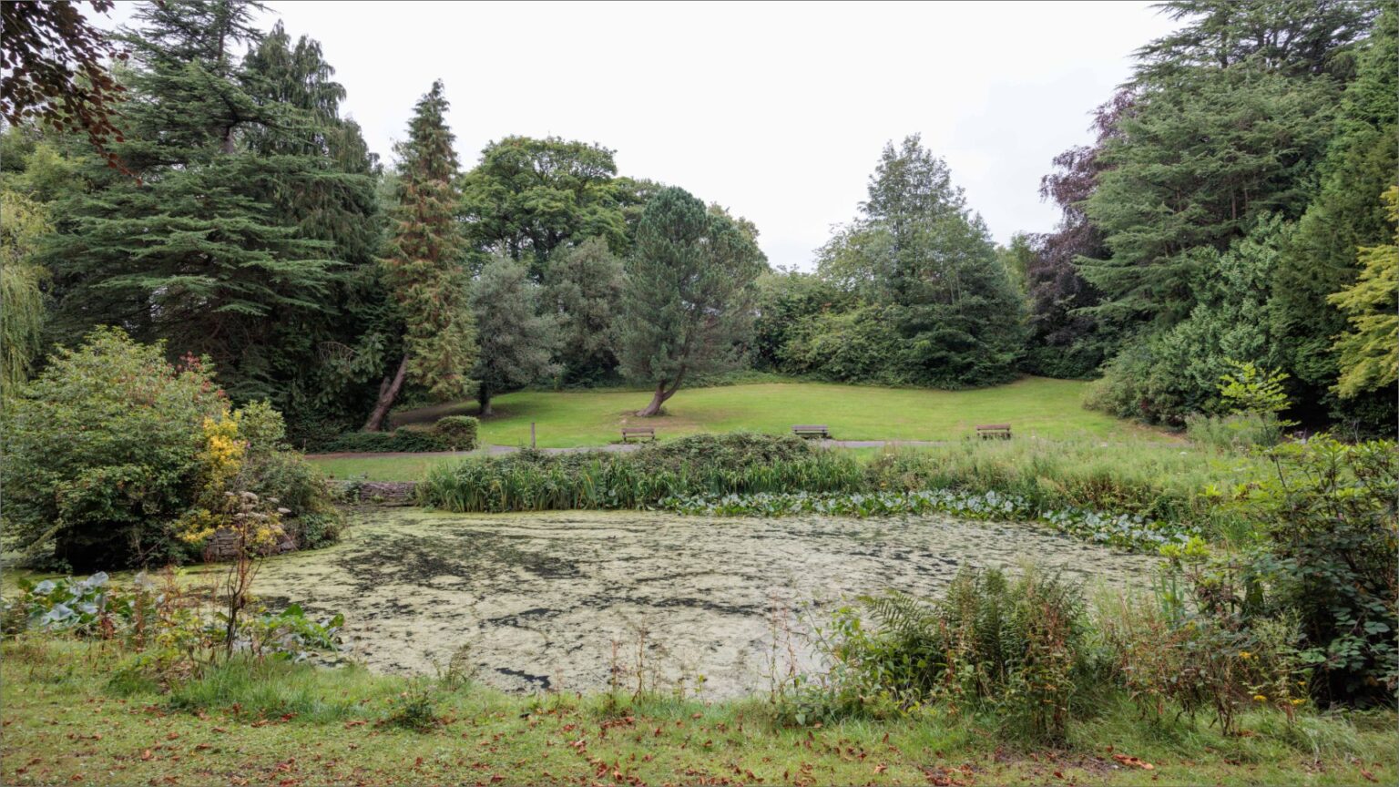 Gardens and grounds at Polebank Hall Care Home, Gee Cross